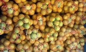 Bưởi gắn mác Soi Hà vài nghìn đồng một quả