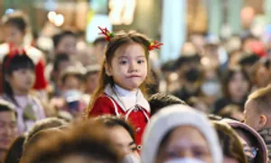 Tốc độ tăng dân số Việt Nam giảm